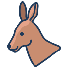 Canguru icon