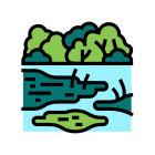 Rainforest icon