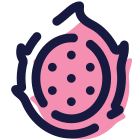 Dragon Fruit icon