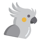 鹦鹉 icon