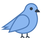 Bird icon