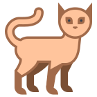 猫 icon