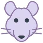 Año de la rata icon