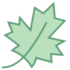 Feuille d'érable icon