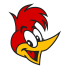 Pájaro carpintero icon