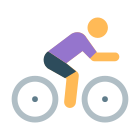 Camino de bicis icon