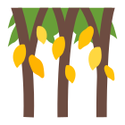 Plantación del árbol de chocolate icon