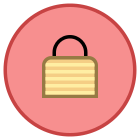 Secure icon