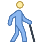 Disabled Access icon