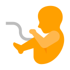 Fœtus icon
