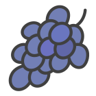 Grape icon