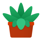 Succulent icon