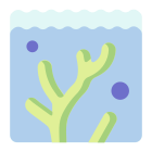 Coral icon