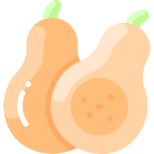 Squashball icon