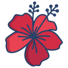 Hibiscus icon