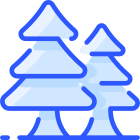 Picea icon