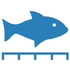 Measure Fish icon