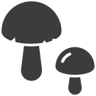 Mushrooms icon