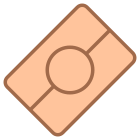 Biometrischer Pass icon