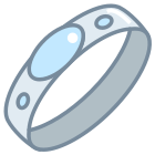 Silver Ring icon