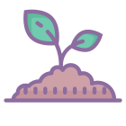 Sprout icon