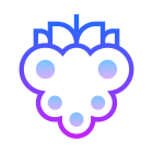 Raspberry icon