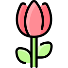 Tulipa icon