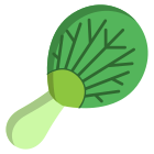 Pok Choi Leaf icon