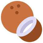 Coco icon