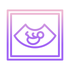 Ultrasound icon