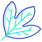 Sassafras Leaf icon