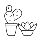 Succulents And Cacti icon