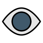 Eye icon