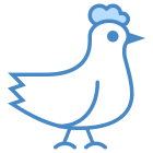 Pollo icon