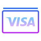 Visa icon