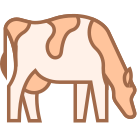 Cow Breed icon