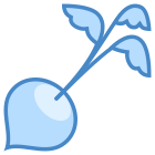 Radish icon