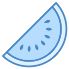 Watermelon icon