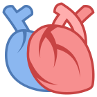 Corazón médico icon