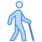 Disabled Access icon