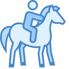 Reiten icon