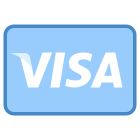 Visa icon