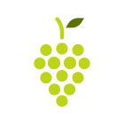 Fruit icon