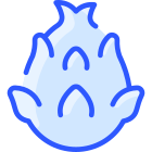 Pitaya icon