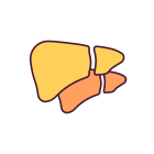 Enlarged Liver icon