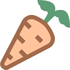 Carota icon