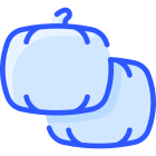 Citrouille icon