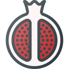 Pomegranate icon