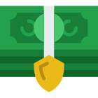 Money Security icon
