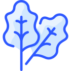 Rhubarb icon